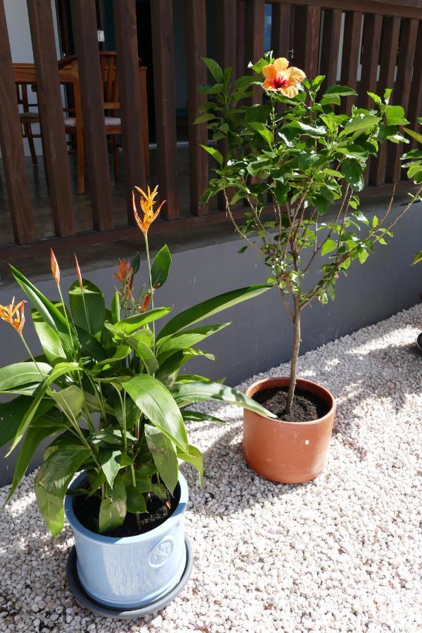 Villa De Mango Fontein Kültér fotó